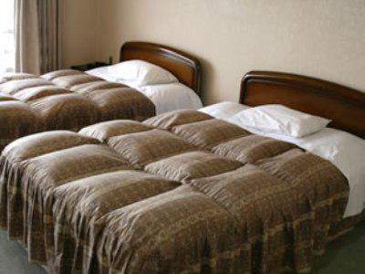 Kochi Prince Hotel Extérieur photo